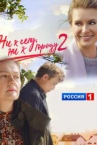 Обложка Ни к селу, ни к городу 2020