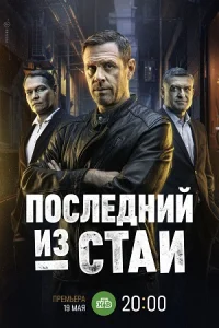 Последний из стаи