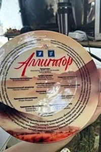 Обложка Аллигатор 2025