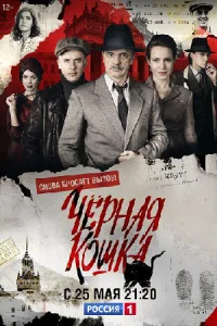 Обложка Чёрная кошка 2016