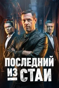 Последний из стаи
