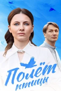 Полёт птицы