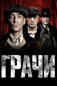 Грачи