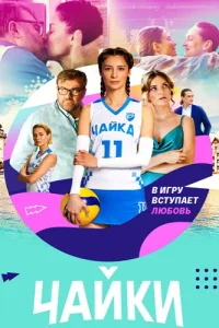 Чайки