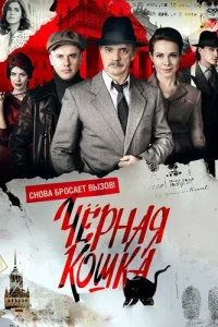 Чёрная кошка