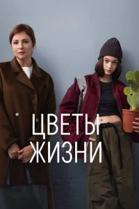 Обложка Цветы жизни 2024